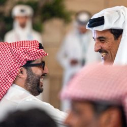 رينارد: قائمتي الأفضل.. وأتمنى فرنسا