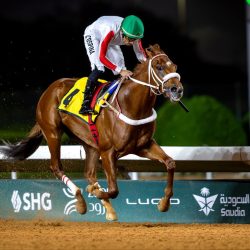 هيئة الأمر بالمعروف بمنطقة عسير تفعّل المعرض التوعوي ( ولاء )في عدد من المجمعات التجارية