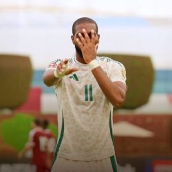 بنزيما: عقدي لا يشغلني.. والهلال يثبت قوة «روشن»