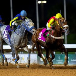 موروث الباحة في قلب المهرجان… حضور أصيل وفنون جنوبية تبهر الجميع .