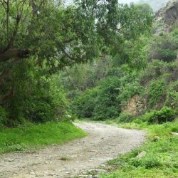 أمير المنطقة الشرقية يدشّن مشروع “المدينة العالمية” في الدمام كوجهة استثمارية وسياحية نوعية