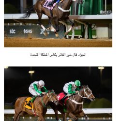 الدكتور علي مرزوق يشارك في ملتقى ويفز الدولي للفنون البصرية