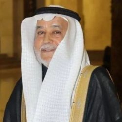 زوار معرض الدفاع العالمي يتعرفون على طائرة F-35