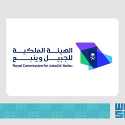 542 مستفيد و2344 ساعة تطوعية ضمن جهود جمعية الصديق لاكرام الموتى بجازان في الربع الأول للعام 2026* 