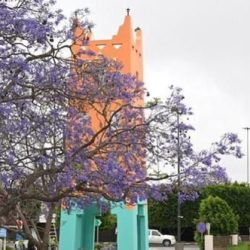 جمعية السينما تختتم ورشة “سر صناعة المانجا والقصص المصورة”   