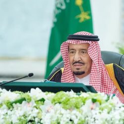 من نوفمبر إلى أبريل.. الحراك الكشفي العربي يرسخ مرحلة جديدة من العمل المؤسسي وتمكين الشباب