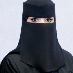 محافظ محايل يرأس اجتماع المجلس المحلي*