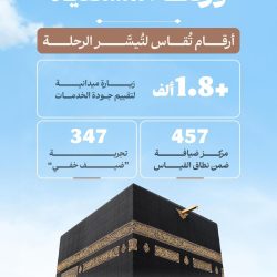 وزارة البلديات والإسكان: تهيئة أكثر من 60 نفقًا وتشغيل ما يزيد على 330 ألف وحدة إنارة بمكة والمشاعر لحج 1447هـ