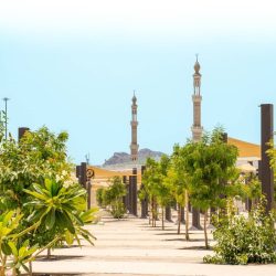 “قوات أمن الحج” تقبض على يمنيين لمخالفتهما أنظمة وتعليمات الحج