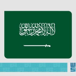 الحملات الميدانية المشتركة تضبط (11300) مخالفٍ لأنظمة الإقامة والعمل وأمن الحدود في مناطق المملكة خلال أسبوع