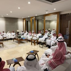 هتان السيف تبدأ مشوارها الاحترافي في دوري المقاتلين المحترفين من جدة