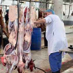 خادم الحرمين الشريفين يتكفل بنفقات الهدي لجميع ضيوف برنامج خادم الحرمين الشريفين للحج والعمرة والزيارة البالغ عددهم 2500 حاج وحاجة