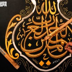 جامعة نجران تسجّل براءة اختراع أمريكية لابتكار كبسولة دوائية متقدمة