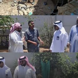 أمانة الباحة تنجز أكثر من 23 ألف عملية صيانة لأعمدة الإنارة خلال مايو ويونيو
