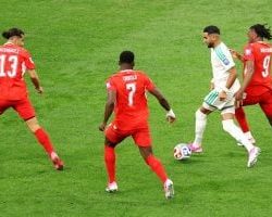 تعيين الدكتور عبدالرحمن آل حامد شيخاً لشمل قبائل علكم بمنطقة عسير خلفا لوالده رحمه الله 