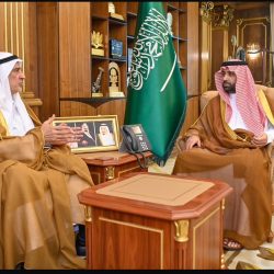 *أمير منطقة جازان يستقبل نائب وزير البيئة والمياه والزراعة*