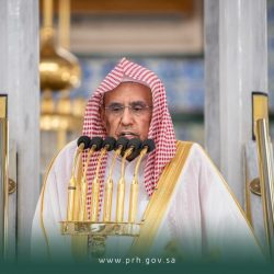 خادم الحرمين الشريفين يصدر أمرًا ملكيًا بتعيين وترقية (87) عضوًا في النيابة العامة