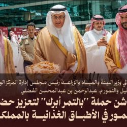 “إكليل الجبل”.. استثمار بلدي يعزز المشهد السياحي في الباحة .