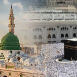 *أمير جازان يطّلع على التقرير السنوي للبريد السعودي لعام 2025*