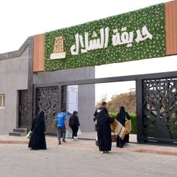 الجسر الزجاجي المعلق في منتزه الامير حسام بالقيم.. تجربة استثنائية فوق السحاب .