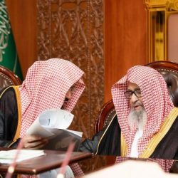 جامعة الباحة تحصل على الاعتماد البرامجي الكامل لبرنامجي ماجستير المحاسبة وهندسة الطاقة المتجددة